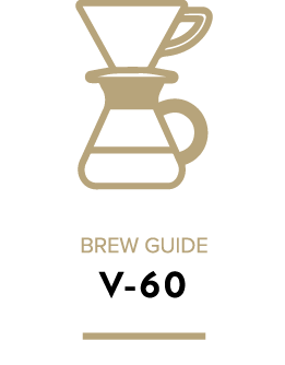 V-60